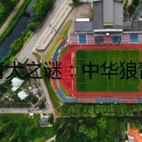狼青犬之謎：中華狼青犬養(yǎng)殖基地的消失