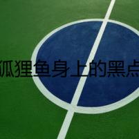 狐貍魚身上的黑點(diǎn)