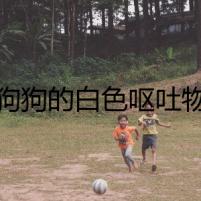 狗狗的白色嘔吐物