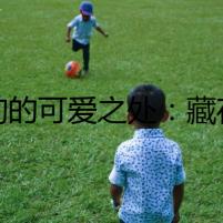 狗狗的可愛之處：藏在背後的秘密