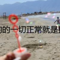 狗狗的一切正常就是拉稀