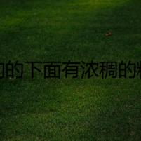 狗狗的下面有濃稠的糊狀物