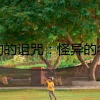 狗狗的詛咒：怪異的名字背后隱藏的秘密
