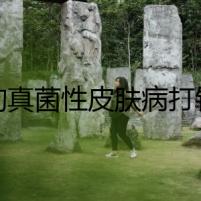 狗狗真菌性皮膚病打針后，家里的狗突然不見了