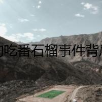 狗狗吃番石榴事件背后的謎團