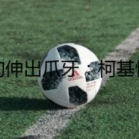 狗狗伸出爪牙：柯基恨主人的六種表現(xiàn)
