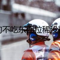 狗狗不吃東西拉稀沒精神，主人陷入神秘漩渦
