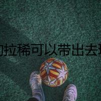 狗狗拉稀可以帶出去玩嗎？
