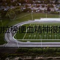 狗狗拉稀便血精神很好，背后的驚悚真相