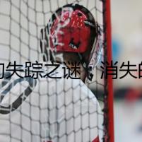 狗狗失蹤之謎：消失的便便袋