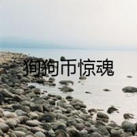 狗狗幣驚魂