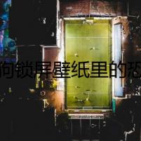 狗狗鎖屏壁紙里的恐懼