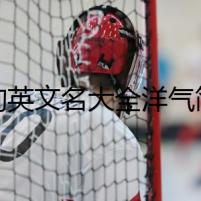 狗狗英文名大全洋氣簡(jiǎn)單