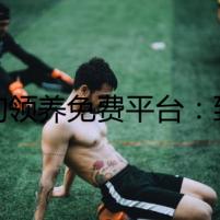 狗狗領(lǐng)養(yǎng)免費(fèi)平臺(tái)：致命陰謀