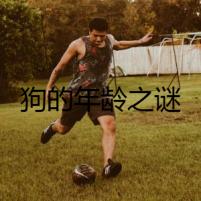 狗的年齡之謎