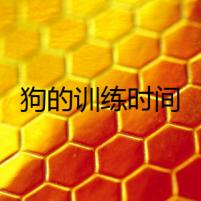 狗的訓(xùn)練時間