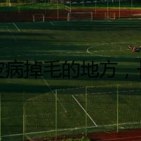 狗皮病掉毛的地方，長出的竟是...