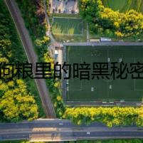 狗糧里的暗黑秘密