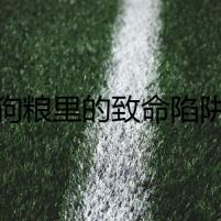狗糧里的致命陷阱