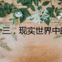 狗十三，現實世界中的靜默悲鳴