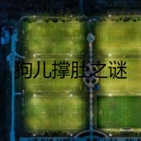 狗兒撐肚之謎