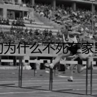 狗為什么不死在家里