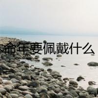 狗本命年要佩戴什么：一場奪命的追逐