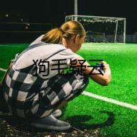 狗毛疑云