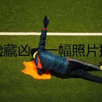 狗臉藏兇：一幅照片揭開的秘密