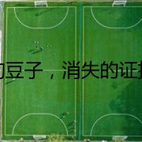 狗豆子，消失的證據(jù)