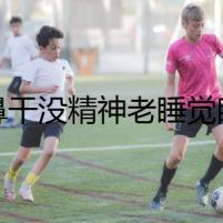 狗鼻干沒精神老睡覺眼白有血絲