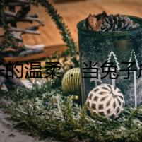 獅子的溫柔：當兔子成為親人