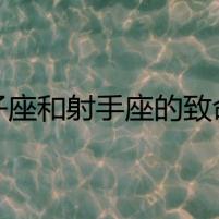 獅子座和射手座的致命羅曼史
