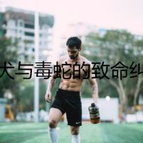 獵犬與毒蛇的致命糾葛