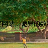 貓貓網(wǎng)站：詭異的數(shù)字謎題