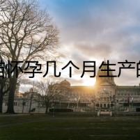 貓貓懷孕幾個月生產(chǎn)的驚天秘密