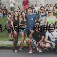 貓貓大偵探：母貓與公貓的線索