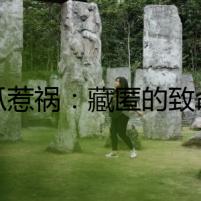 貓爪惹禍：藏匿的致命武器