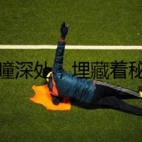 貓瞳深處，埋藏著秘密