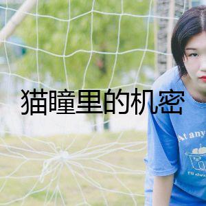 貓瞳里的機密