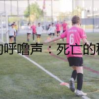 貓的呼嚕聲：死亡的秘密