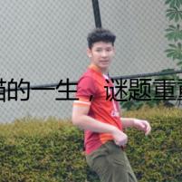 貓的一生，謎題重重