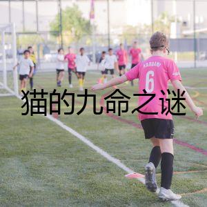 貓的九命之謎