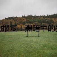 貓的報(bào)復(fù)：黑暗中的貓眼