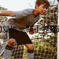 貓的復(fù)仇：新手養(yǎng)貓選公的還是母？