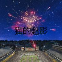 貓的魅影