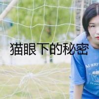 貓眼下的秘密