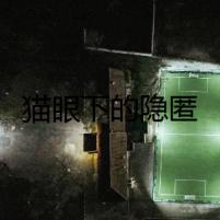貓眼下的隱匿