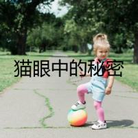 貓眼中的秘密