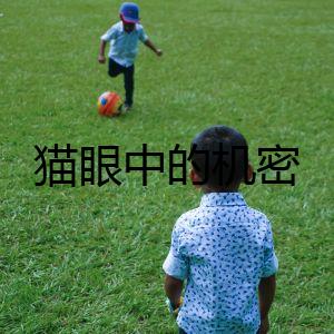 貓眼中的機密